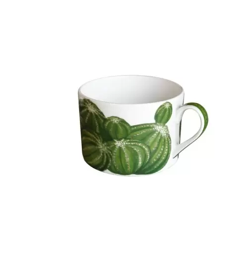 Чашка с блюдцем 230 мл Cactus Taitu чайная зелёная