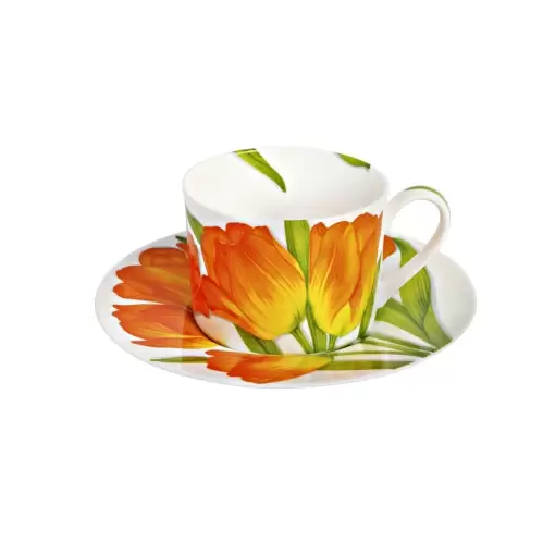 Чашка с блюдцем 230 мл Flower Freedom Taitu чайная оранжевая